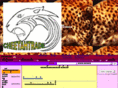 cheetahtrade.com