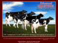 echowoodholsteins.com