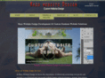 razowebsitedesign.com