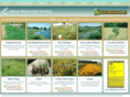 spencenursery.com