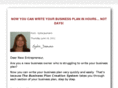 thebusinessplansystem.net