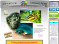 a1retouching.com