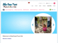 blueoceantours.net