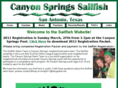 canyonspringsswimteam.com