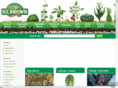 dtbrown-seeds.com