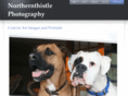 northernthistlephoto.com
