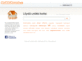 uniikkiasunto.fi