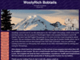 woolyrichbobtails.com