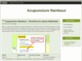 acupuncturenambour.com