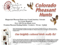 coloradopheasanthunts.com