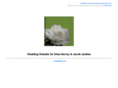 jakeanddina.com