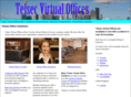 telsecvirtualoffice.com