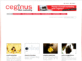 ceginus.com