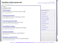 transition-culture-group.com
