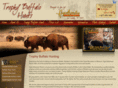 trophybuffalohunt.com