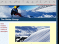 wellergroupsales.com