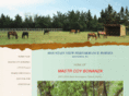 mountainviewperformancehorses.com