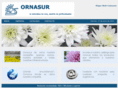 ornasur.com