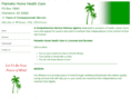 palmettohhc.com