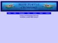 blueturtlecrossing.com