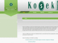 kosekconsulting.com