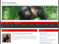 roottrainingblog.com