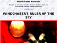 windchaserkennels.com