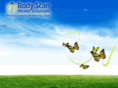 bodyscanhealth.com