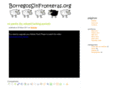 borregossinfronteras.org