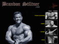 brandonstiltner.com