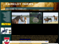 camelothorses.com