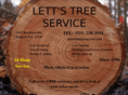lettstreeservice.com