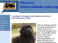 newfoundlandpuppies.org