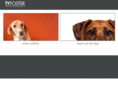 tyfoster.com