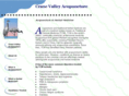 cvacupuncture.com