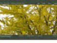landartdesigngroup.com