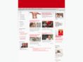 lnb-motion.com