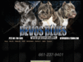 bevosblues.com