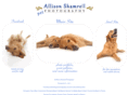 allisonshamrell.com
