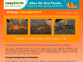 orange-zwergkrebse.de