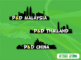 p-flex.com