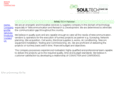 soultechengg.com