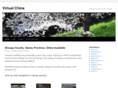 virtualchina.com