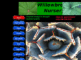 willowbrooknursery.com