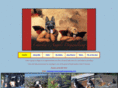 charliesangelsdogwalking.com