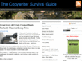 copywritersurvivalguide.com