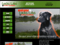 luckslabs.com