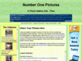 numberonepictures.com