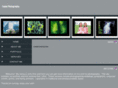 fusion-photos.com