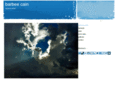 barbeecaincameraartist.com